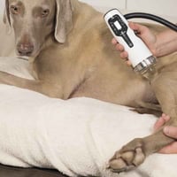 imgi_48_anwenderbroschuere_vet_014b