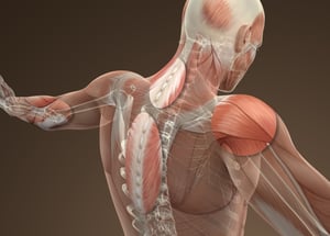 masterpuls_ultra_004